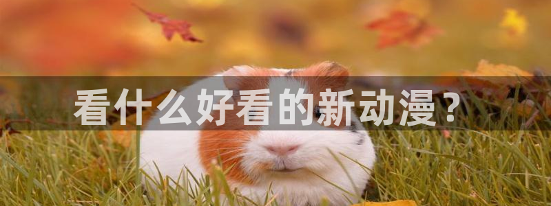 里番动漫3d：看什么好看的新动漫？