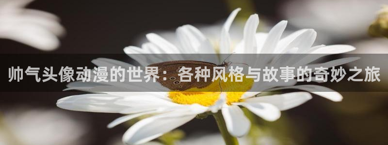 最新里番动漫网站：帅气头像动漫的世界：各种风格与故事的奇妙之旅