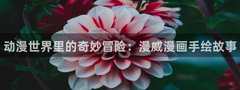 动漫里番外