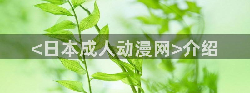 里番 动漫