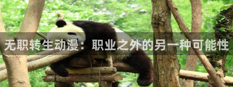 里番动漫排行榜