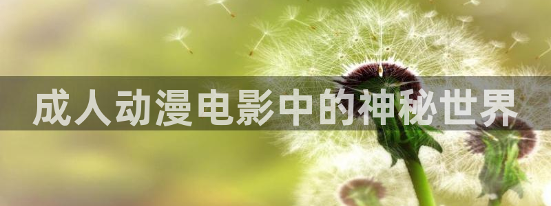 acg里番漫画：成人动漫电影中的神秘世界