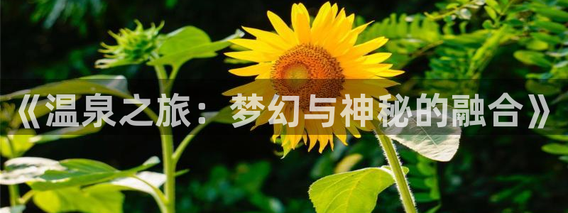 里番漫在线：《温泉之旅：梦幻与神秘的融合》