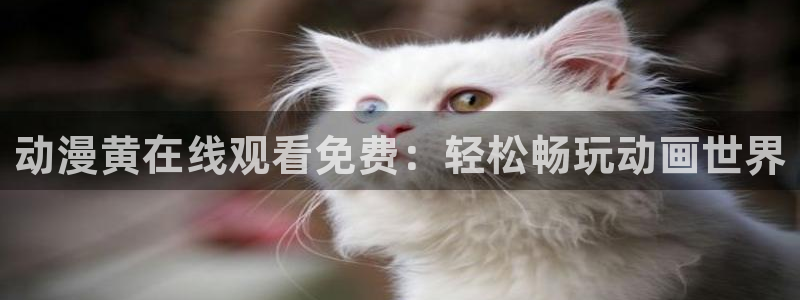动漫电影里番：动漫黄在线观看免费：轻松畅玩动画世界