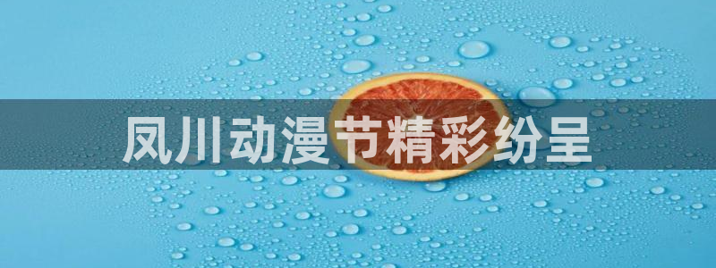 里番 动漫：凤川动漫节精彩纷呈