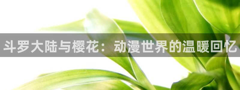 看里番