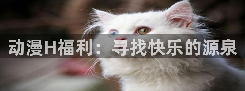 日本里番动漫免费观看