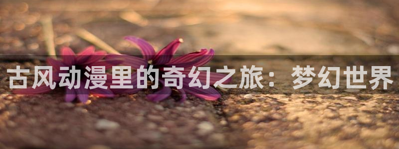 黑丝动漫里番