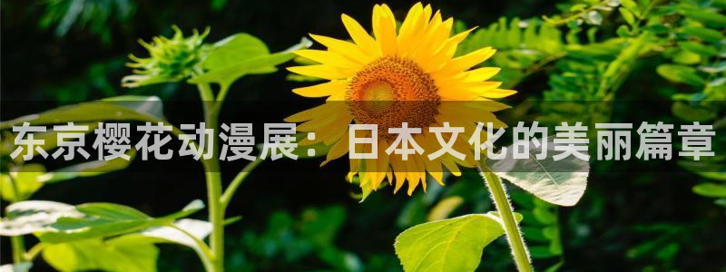 日本动漫里番在线观看