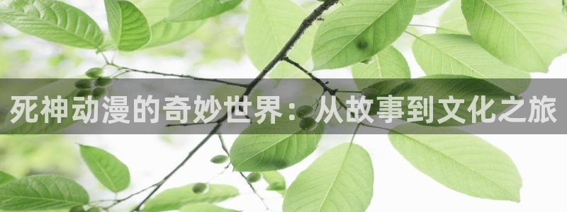 里番大全动漫