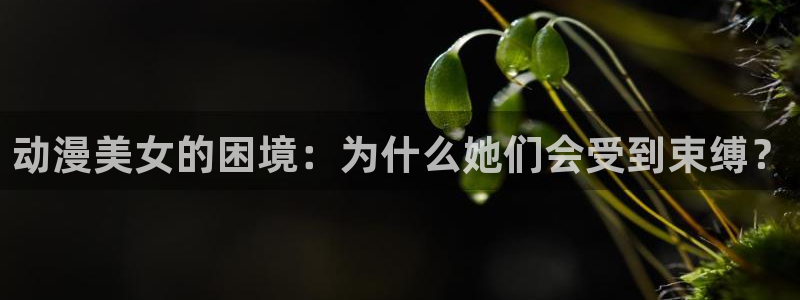 里番3d动漫