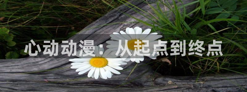 星辰动漫里番