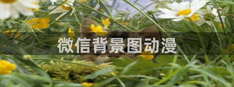 类似黑兽里番的动漫